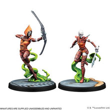 Load image into Gallery viewer, [Pre-Order] Star Wars: Shatterpoint - Witches of Dathomir Squad Pack
