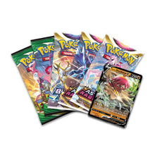 Load image into Gallery viewer, Pokémon TCG: Divergent Powers Tin (Hisuian Decidueye V)
